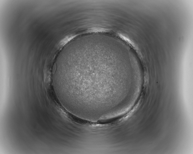 X0000085771169200703161135