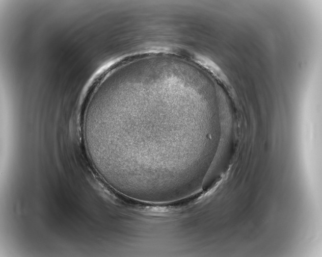 X0000085771172200703161135