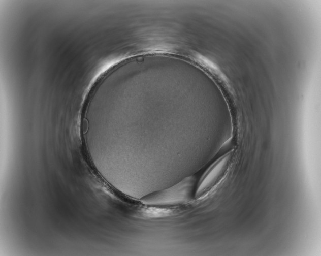 X0000085771174200703161135