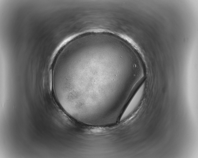 X0000085771175200703161135