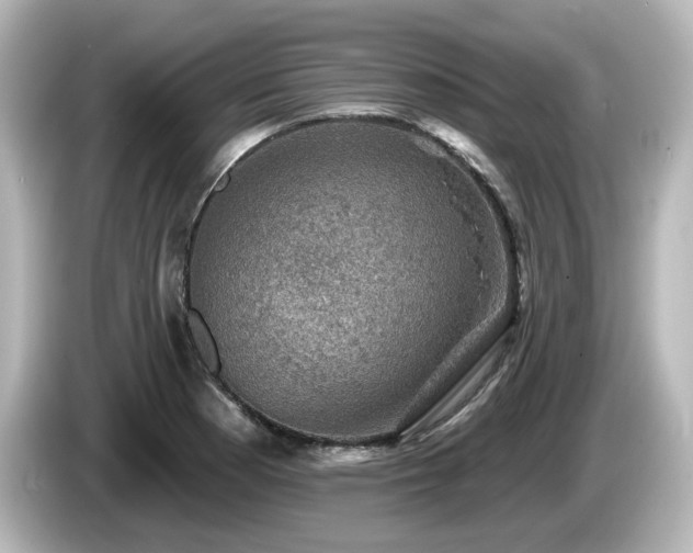 X0000085771177200703161135