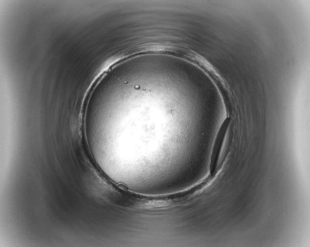 X0000085771178200703161135