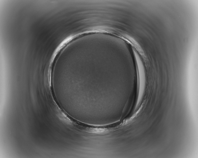 X0000085771180200703161135