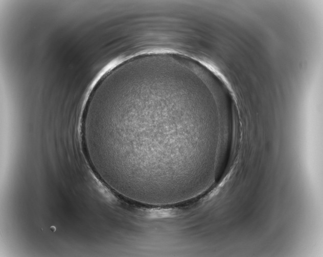 X0000085771181200703161135