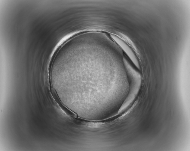 X0000085771184200703161135