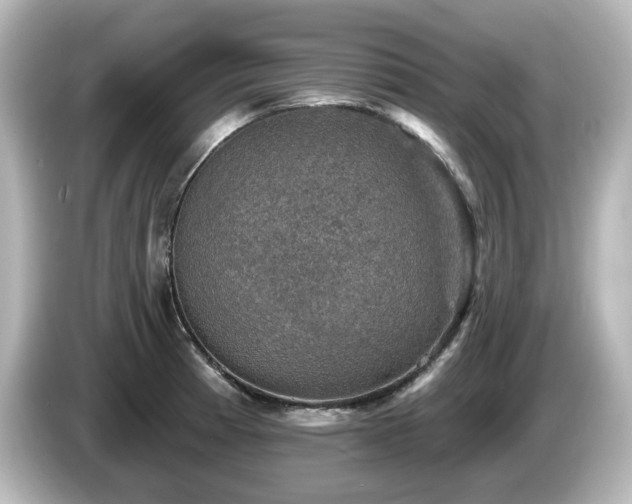 X0000085771185200703161135