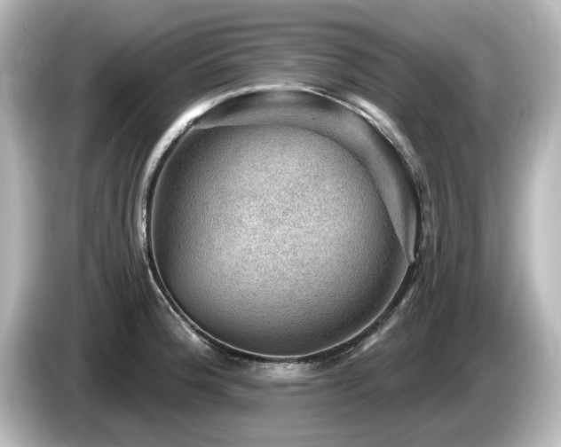 X0000085771188200703161135