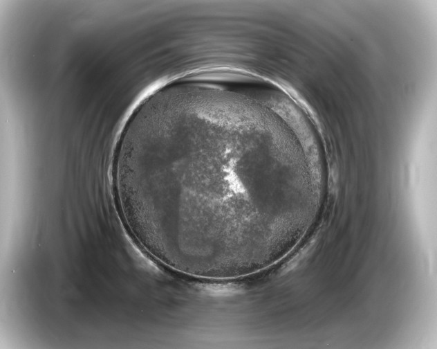 X0000085771189200703161135