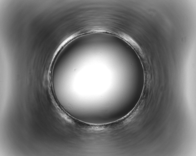 X0000085771190200703161135