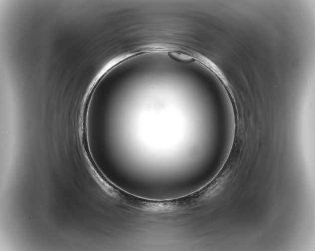 X0000085771195200703161135