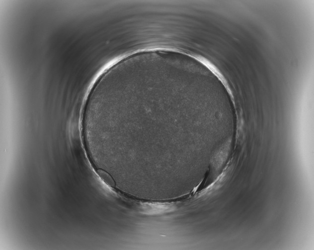 X0000085771197200703161135