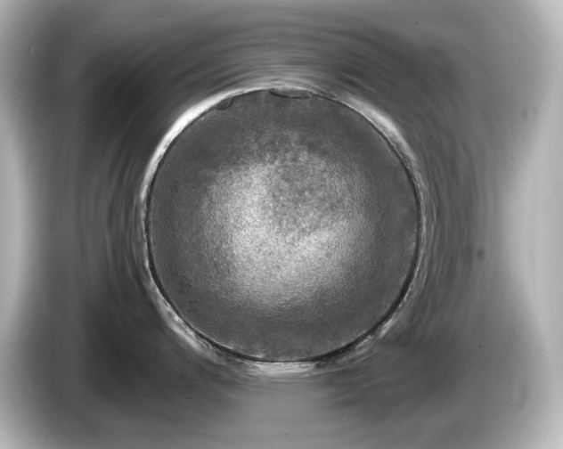 X0000085771200200703161135