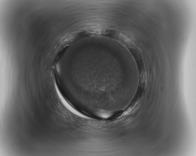 X0000085771202200703161134