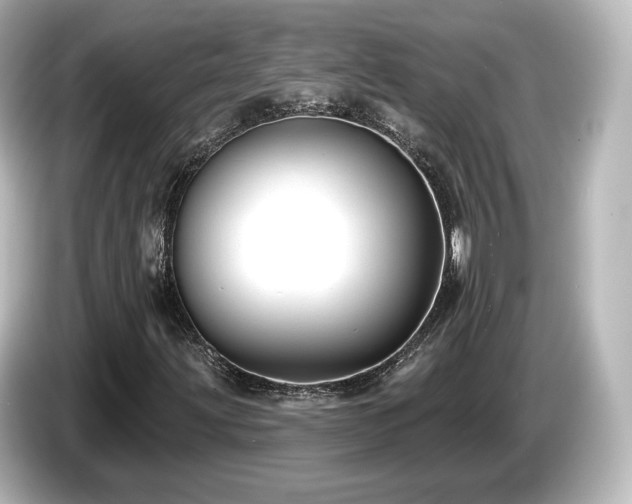 X0000085771203200703161134