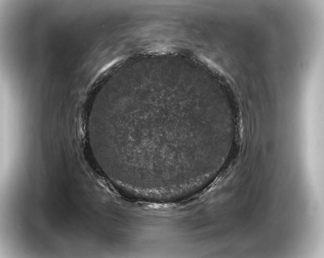 X0000085771206200703161134