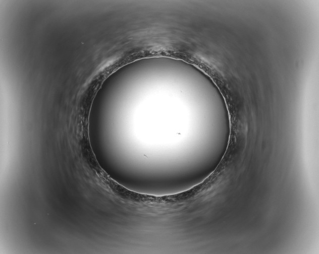 X0000085771207200703161134