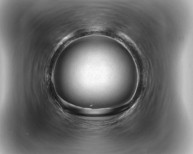 X0000085771210200703161134