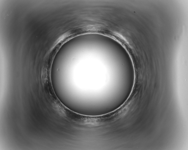 X0000085771211200703161134