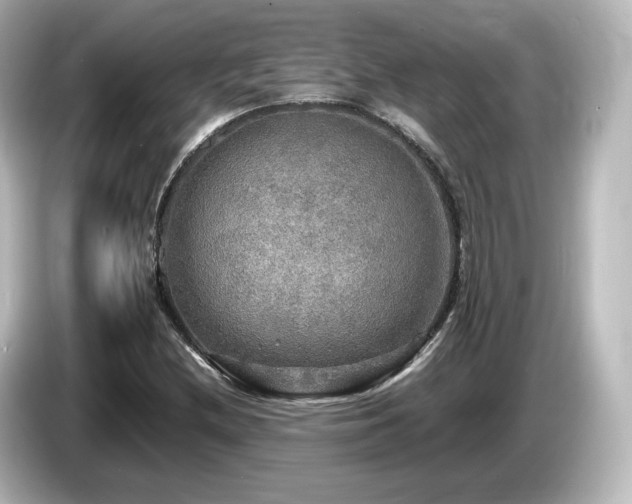 X0000085771212200703161134