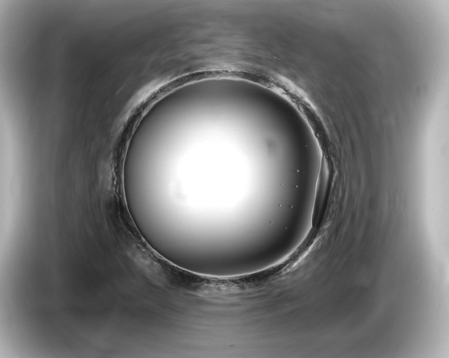 X0000085771215200703161134