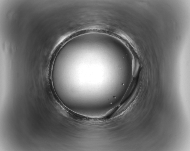 X0000085771216200703161134