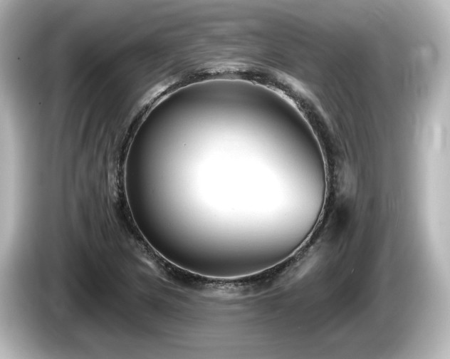 X0000085771217200703161134