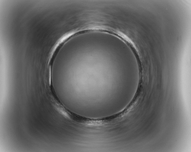 X0000085771223200703161134