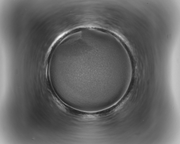 X0000085771224200703161134