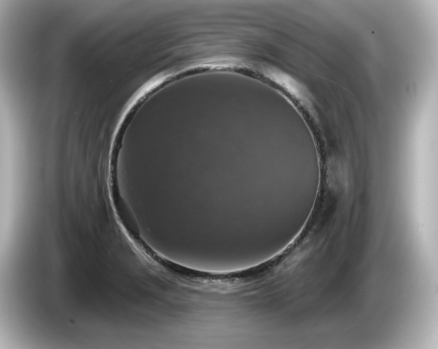 X0000085771229200703161134