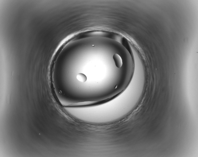 X0000085771230200703161134