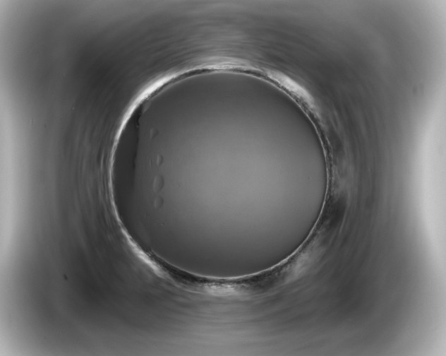 X0000085771231200703161135