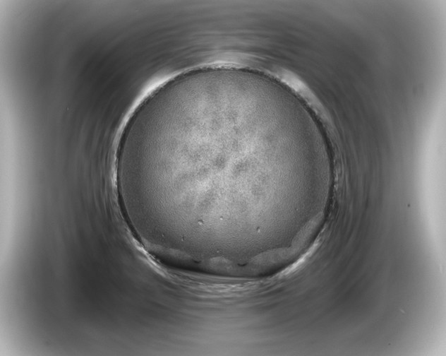 X0000085771232200703161135