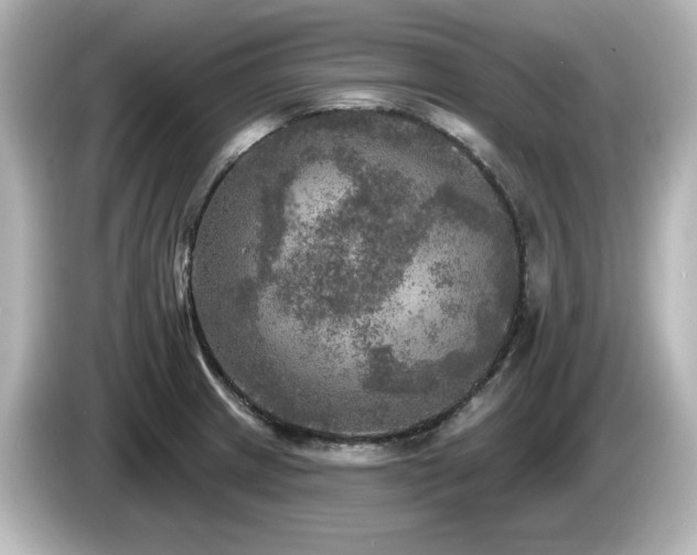 X0000085771233200703161135