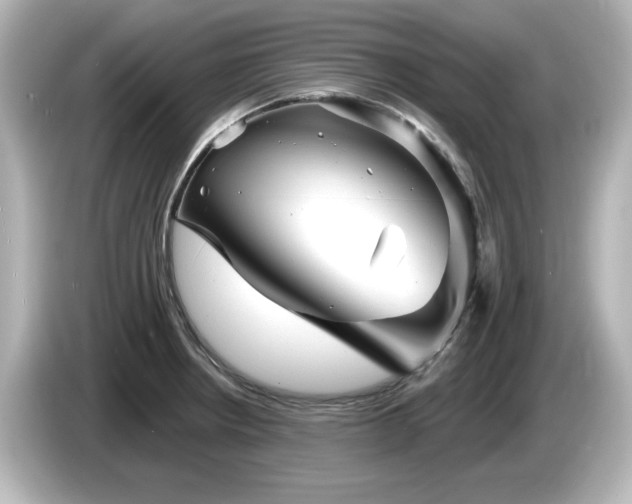 X0000085771234200703161135