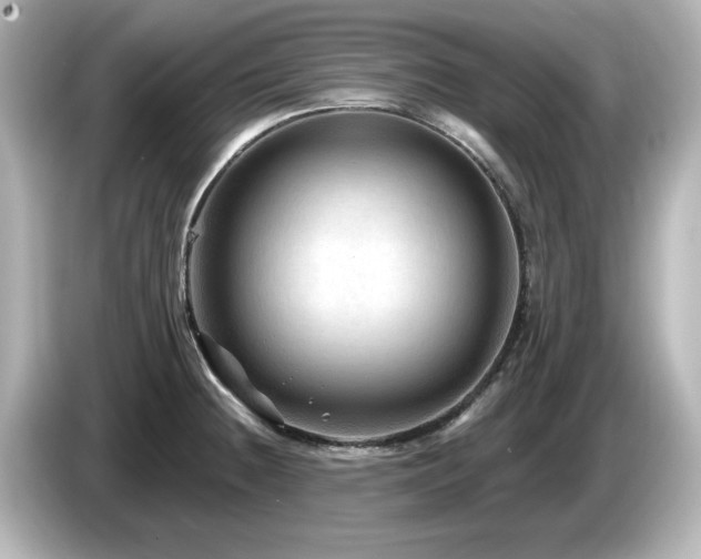 X0000085771236200703161135