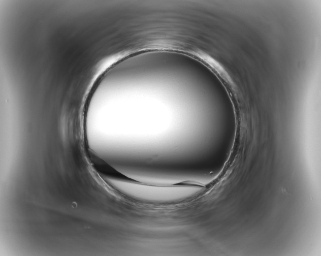 X0000085771238200703161135