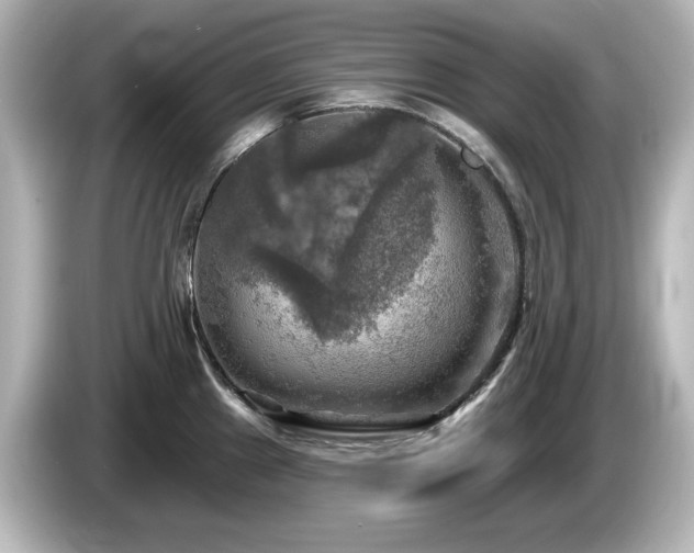 X0000085771241200703161135