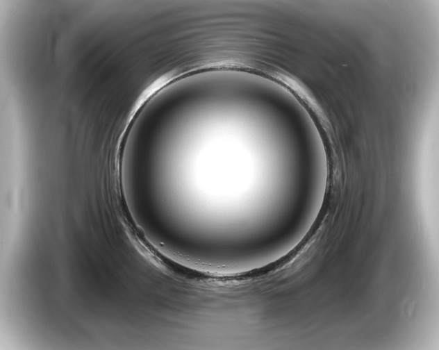 X0000085771242200703161135