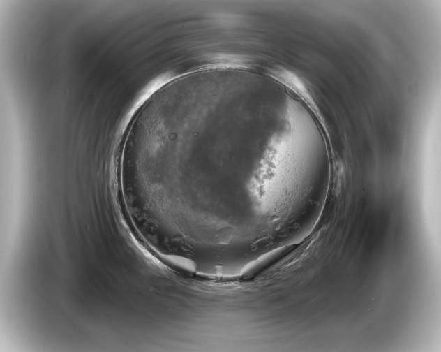 X0000085771243200703161135