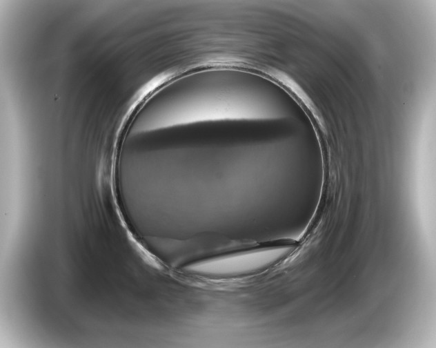 X0000085771245200703161135