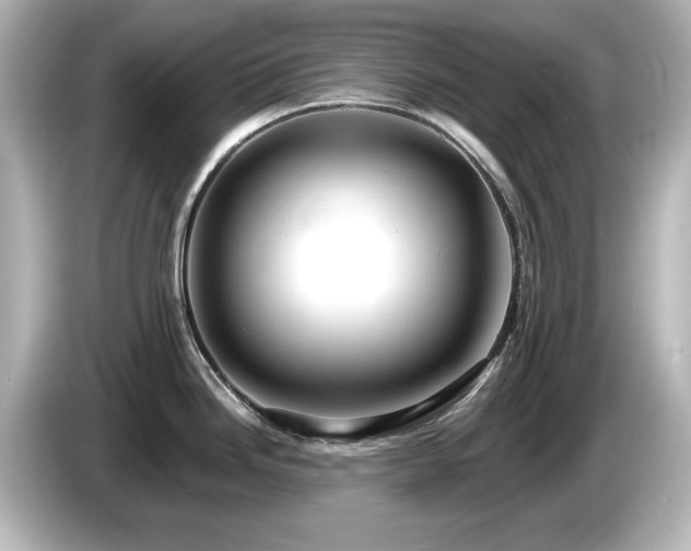 X0000085771246200703161135