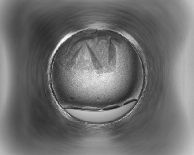 X0000085771248200703161135