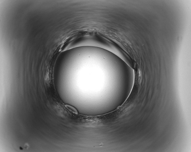 X0000085771250200703161134