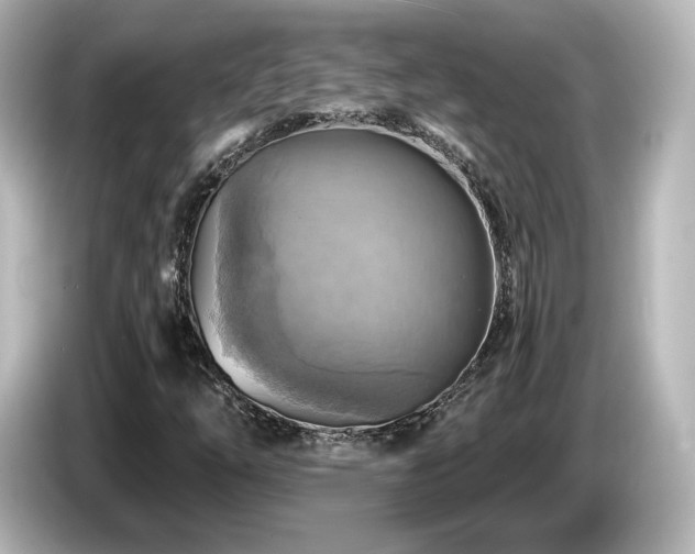 X0000085771254200703161134