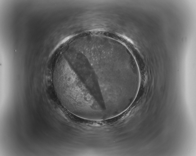 X0000085771255200703161134