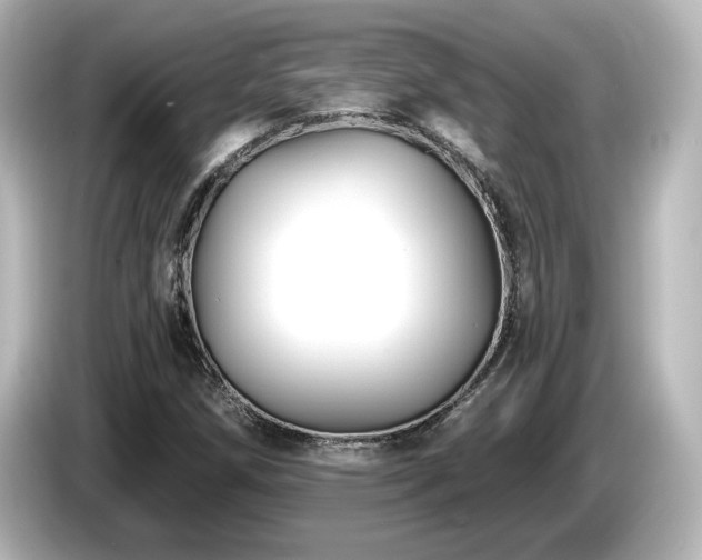 X0000085771258200703161134