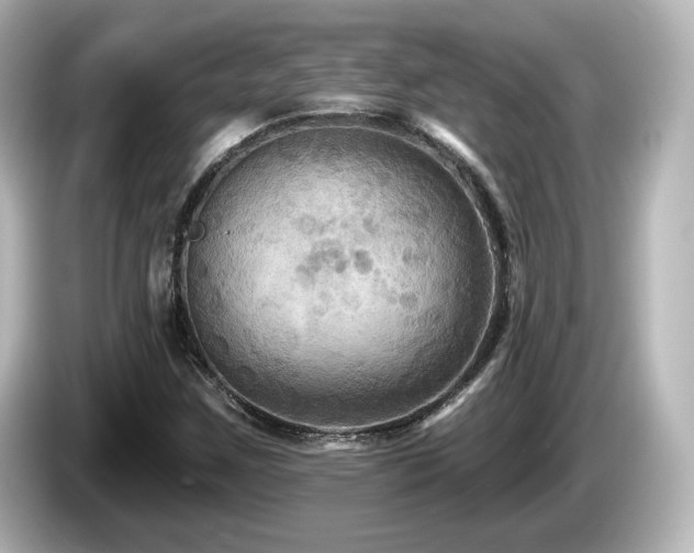 X0000085771259200703161134