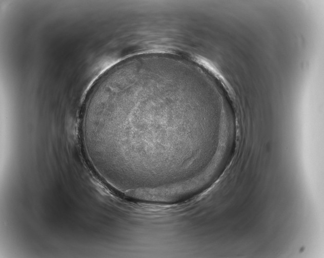 X0000085771260200703161134