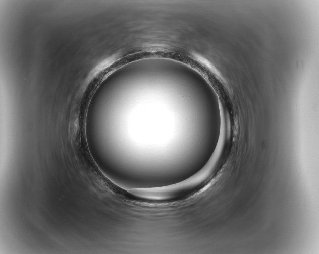 X0000085771261200703161134