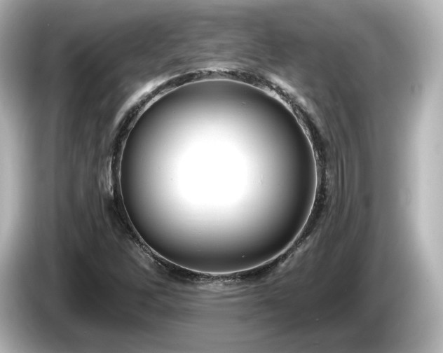 X0000085771262200703161134